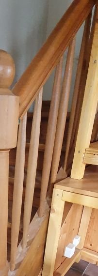  Buchen Staketen